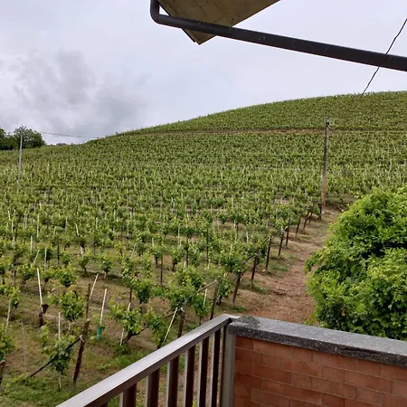 Wine E Relax Thea * Coazzolo